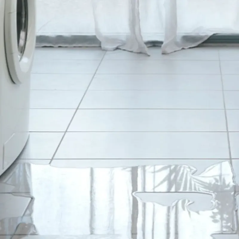 Appliance Leak Cleanup in Piperton, TN