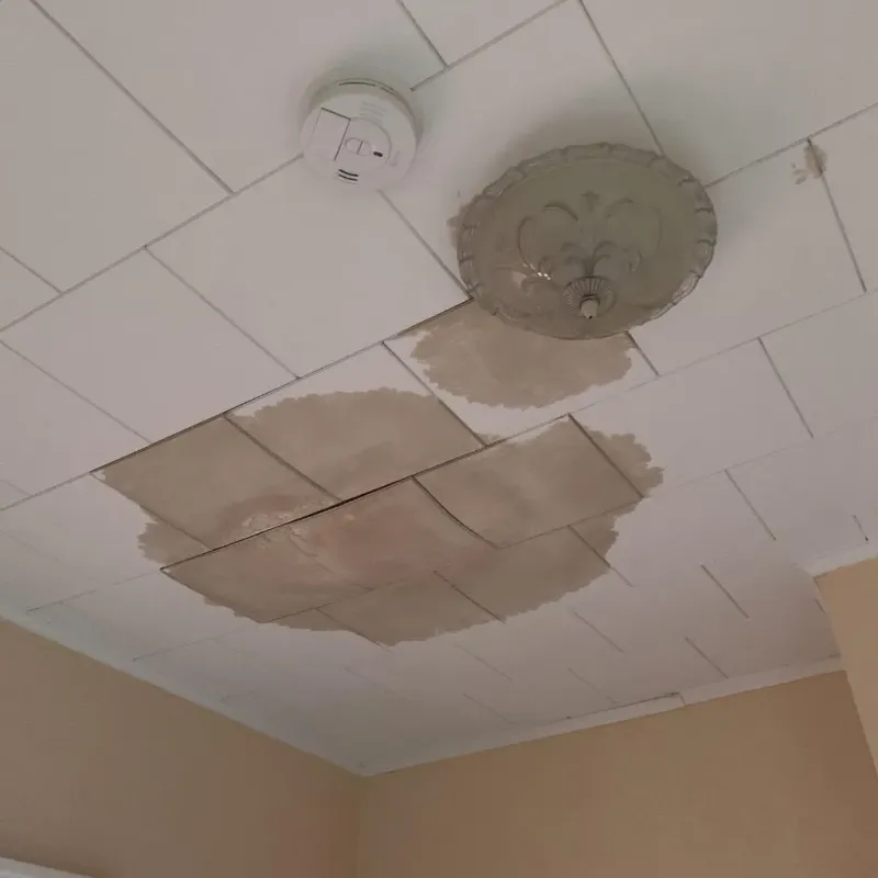 Ceiling Water Damage Repair in Piperton, TN