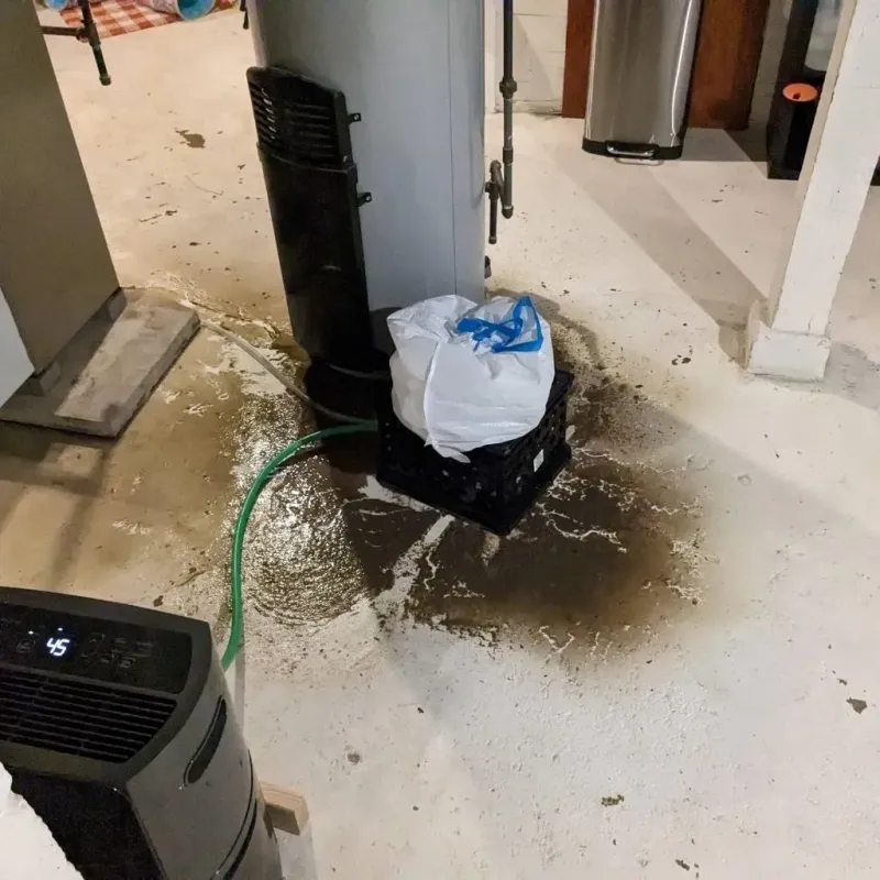 Sewage Backup Cleanup Service in Piperton, TN